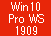 Win 10 Pro 64 for WS Ver1909